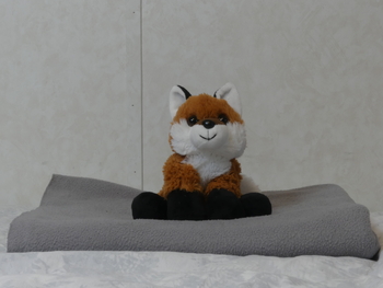 Unnamed 47 (Red Fox, Aurora)